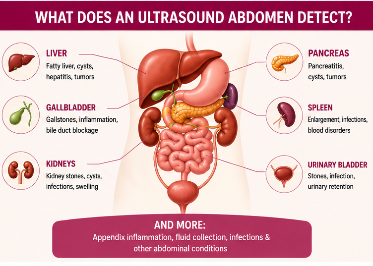 Ultrasound Abdomen Tolichowki
